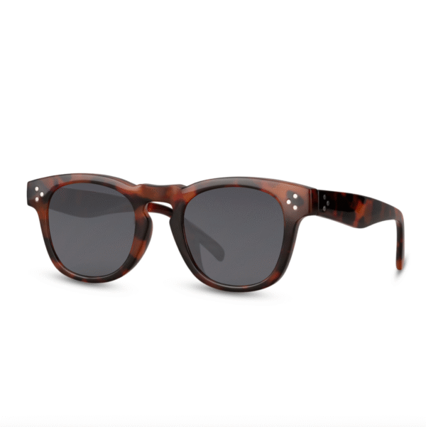 lunettes-soleil-collection-madrid-la-latina-l-insolent-side La Latina