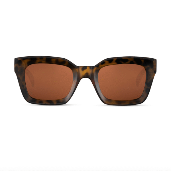 lunette-collection-copenhague-norrebro-front-l-insolent Nørrebro