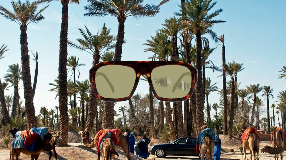 collection-marrakech-fond-ville-palmier-l-insolent