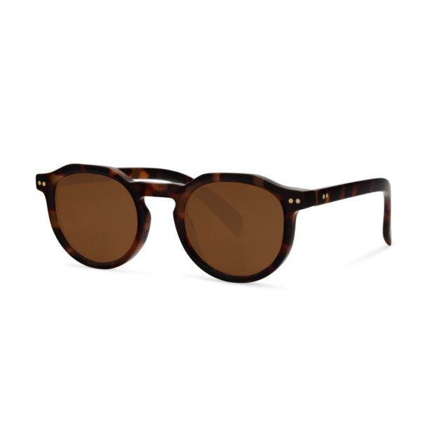 lunette-soleil-linsolent-paris-marron-cote Montmartre